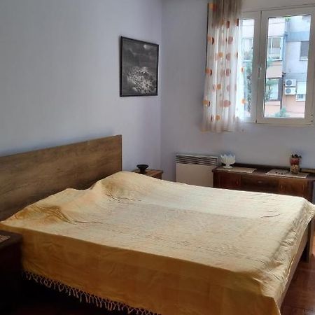 Apartment Z Podgorica Buitenkant foto